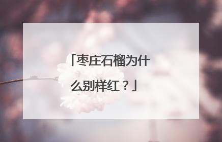 枣庄石榴为什么别样红？