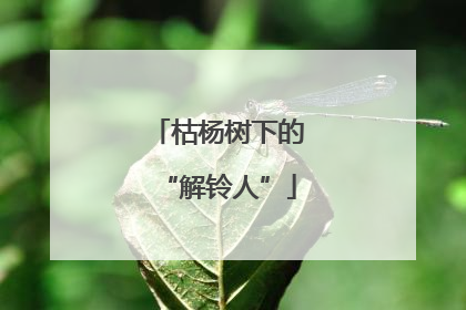 枯杨树下的“解铃人”