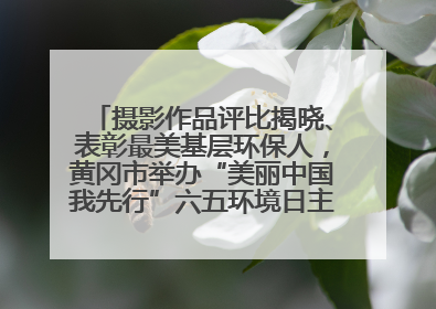 摄影作品评比揭晓、表彰最美基层环保人，黄冈市举办“美丽中国我先行”六五环境日主题宣传活动