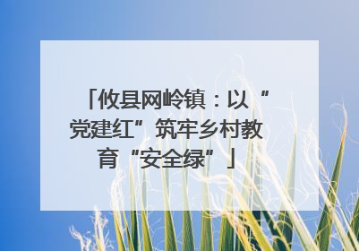 攸县网岭镇：以“党建红”筑牢乡村教育“安全绿”