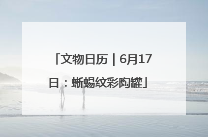 文物日历｜6月17日：蜥蜴纹彩陶罐