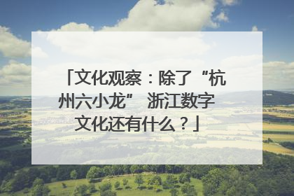 文化观察：除了“杭州六小龙” 浙江数字文化还有什么？