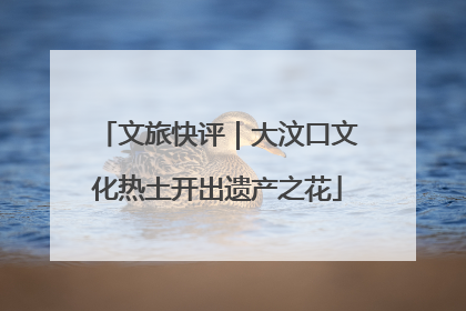 文旅快评｜大汶口文化热土开出遗产之花