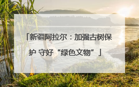新疆阿拉尔：加强古树保护 守好“绿色文物”