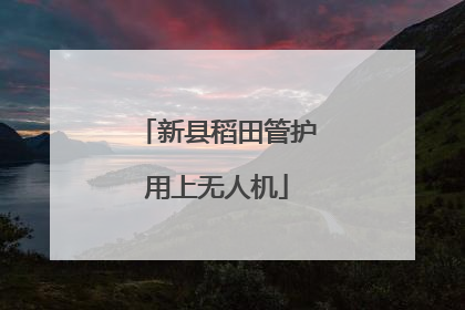 新县稻田管护用上无人机