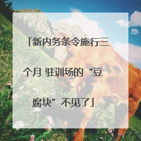 新内务条令施行三个月 驻训场的“豆腐块”不见了