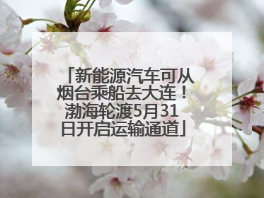 新能源汽车可从烟台乘船去大连！渤海轮渡5月31日开启运输通道