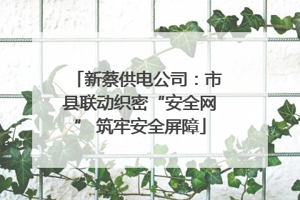 新蔡供电公司：市县联动织密“安全网” 筑牢安全屏障