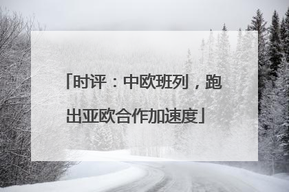 时评：中欧班列，跑出亚欧合作加速度