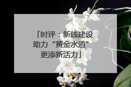 时评：新线建设助力“黄金水道”更添新活力