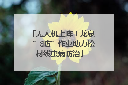 无人机上阵！龙泉“飞防”作业助力松材线虫病防治