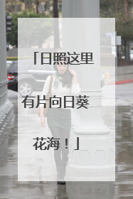 日照这里有片向日葵花海！