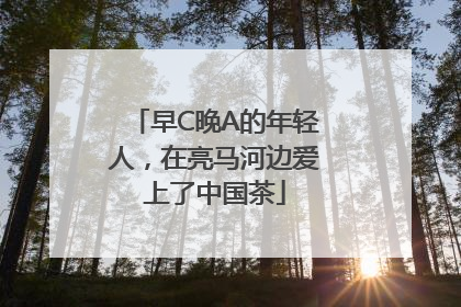 早C晚A的年轻人，在亮马河边爱上了中国茶