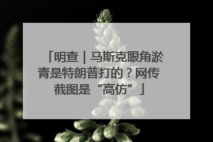 明查｜马斯克眼角淤青是特朗普打的？网传截图是“高仿”