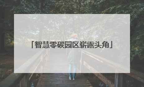 智慧零碳园区崭露头角