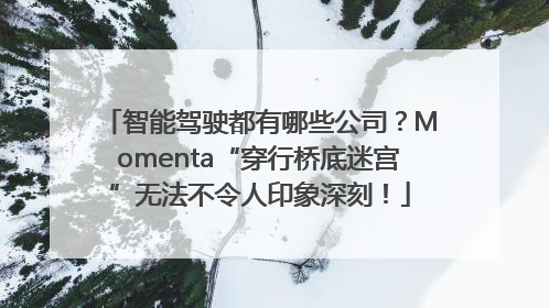 智能驾驶都有哪些公司？Momenta“穿行桥底迷宫”无法不令人印象深刻！