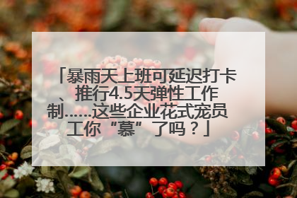 暴雨天上班可延迟打卡、推行4.5天弹性工作制……这些企业花式宠员工你“慕”了吗？