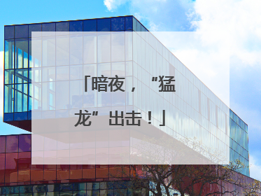 暗夜，“猛龙”出击！