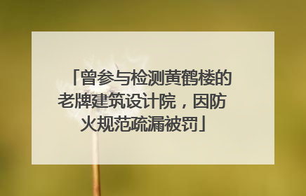 曾参与检测黄鹤楼的老牌建筑设计院，因防火规范疏漏被罚
