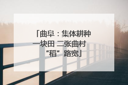 曲阜：集体耕种一块田 二张曲村“稻”路宽
