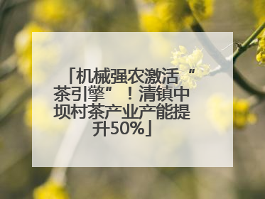 机械强农激活“茶引擎”！清镇中坝村茶产业产能提升50%
