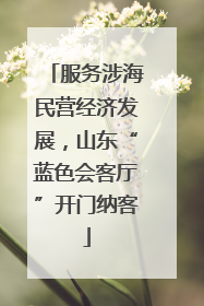 服务涉海民营经济发展，山东“蓝色会客厅”开门纳客