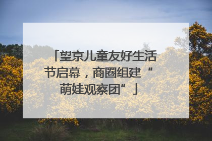 望京儿童友好生活节启幕，商圈组建“萌娃观察团”