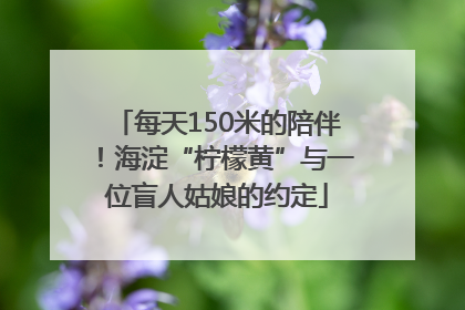 每天150米的陪伴！海淀“柠檬黄”与一位盲人姑娘的约定