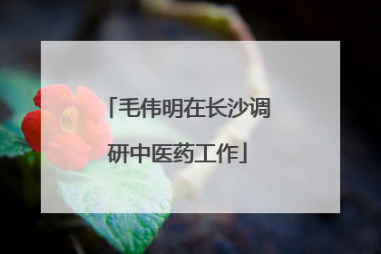 毛伟明在长沙调研中医药工作