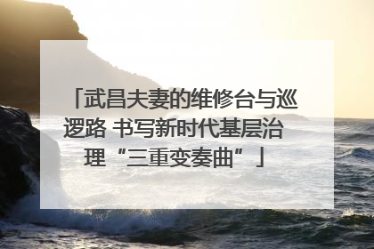 武昌夫妻的维修台与巡逻路 书写新时代基层治理“三重变奏曲”