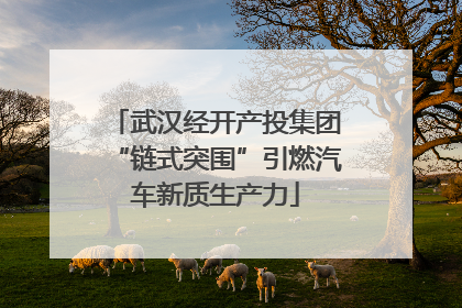 武汉经开产投集团“链式突围”引燃汽车新质生产力