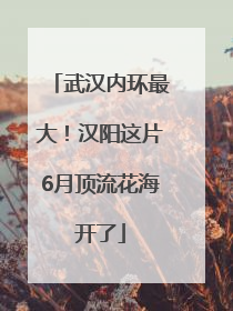 武汉内环最大！汉阳这片6月顶流花海开了