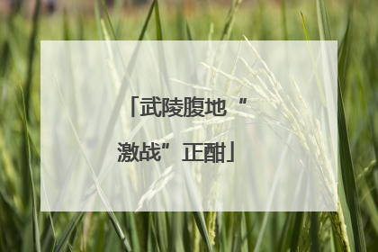 武陵腹地“激战”正酣