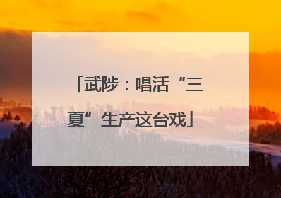 武陟：唱活“三夏”生产这台戏