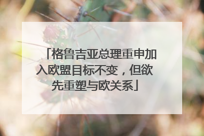 格鲁吉亚总理重申加入欧盟目标不变，但欲先重塑与欧关系