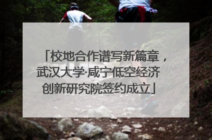 校地合作谱写新篇章，武汉大学·咸宁低空经济创新研究院签约成立