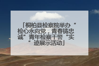 桐柏县检察院举办“检心永向党，青春铸忠诚”青年检察干警“实”迹展示活动