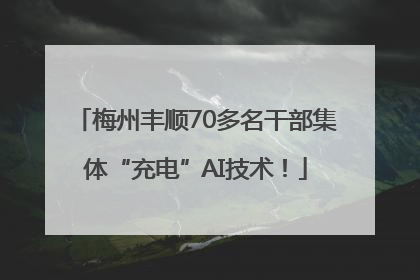 梅州丰顺70多名干部集体“充电”AI技术！