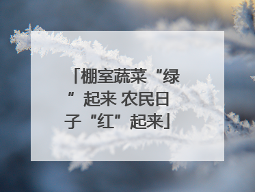 棚室蔬菜“绿”起来 农民日子“红”起来