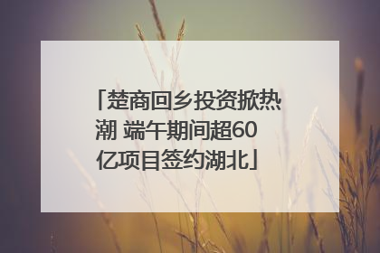 楚商回乡投资掀热潮 端午期间超60亿项目签约湖北