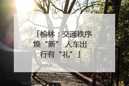 榆林：交通秩序焕“新” 人车出行有“礼”
