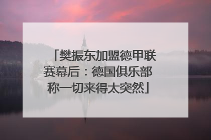 樊振东加盟德甲联赛幕后：德国俱乐部称一切来得太突然