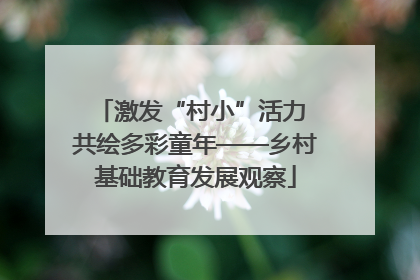 激发“村小”活力 共绘多彩童年——乡村基础教育发展观察