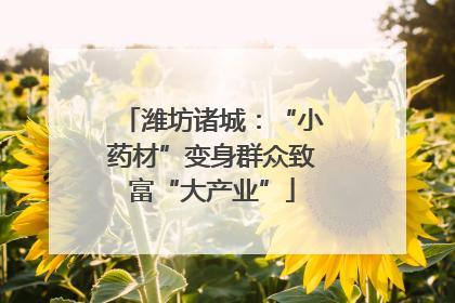 潍坊诸城：“小药材”变身群众致富“大产业”