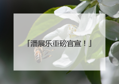 潘展乐重磅官宣！
