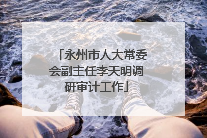 永州市人大常委会副主任李天明调研审计工作