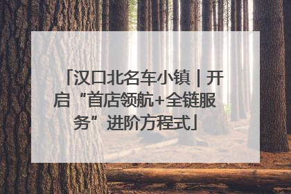 汉口北名车小镇｜开启“首店领航+全链服务”进阶方程式