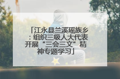 江永县兰溪瑶族乡：组织三级人大代表开展“三会三文”精神专题学习