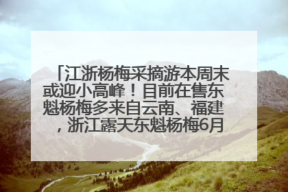 江浙杨梅采摘游本周末或迎小高峰！目前在售东魁杨梅多来自云南、福建，浙江露天东魁杨梅6月中旬大量上市