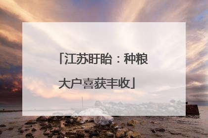 江苏盱眙：种粮大户喜获丰收